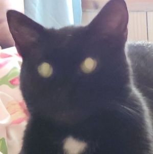 Meet your Posher, Danna